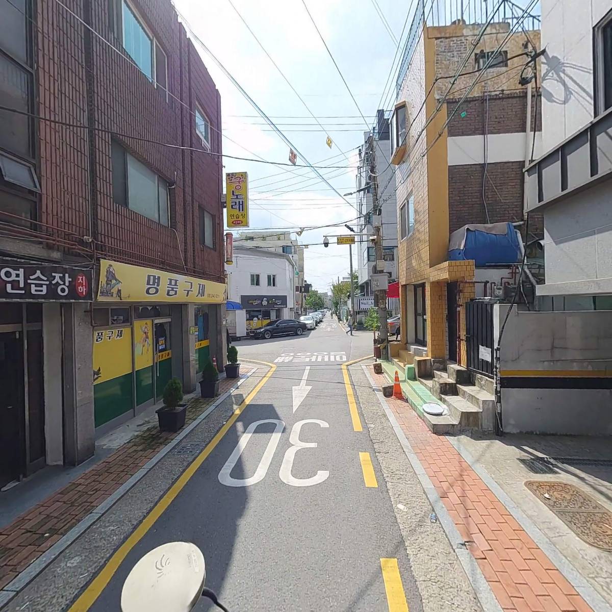 리틀게코 파충류샵 수원점_2