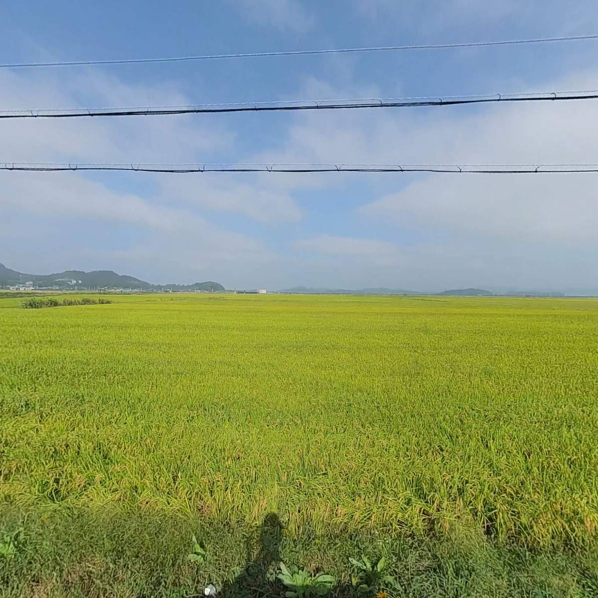 농업회사법인 농부와청년들