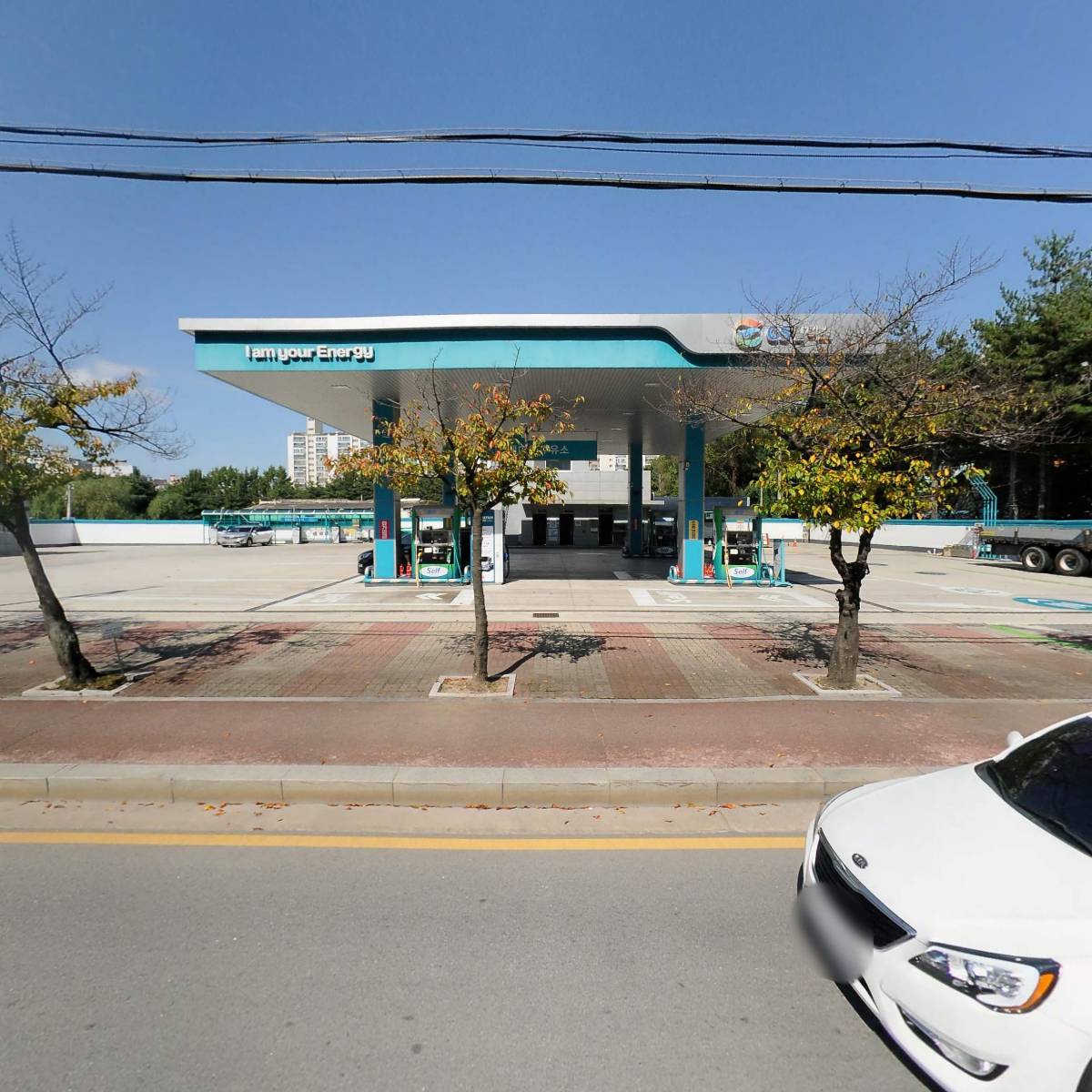 오토오아시스롯데마트군산점