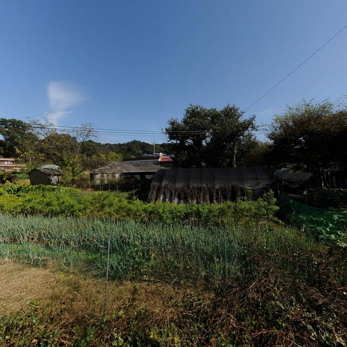 전주 SK매직드림_3