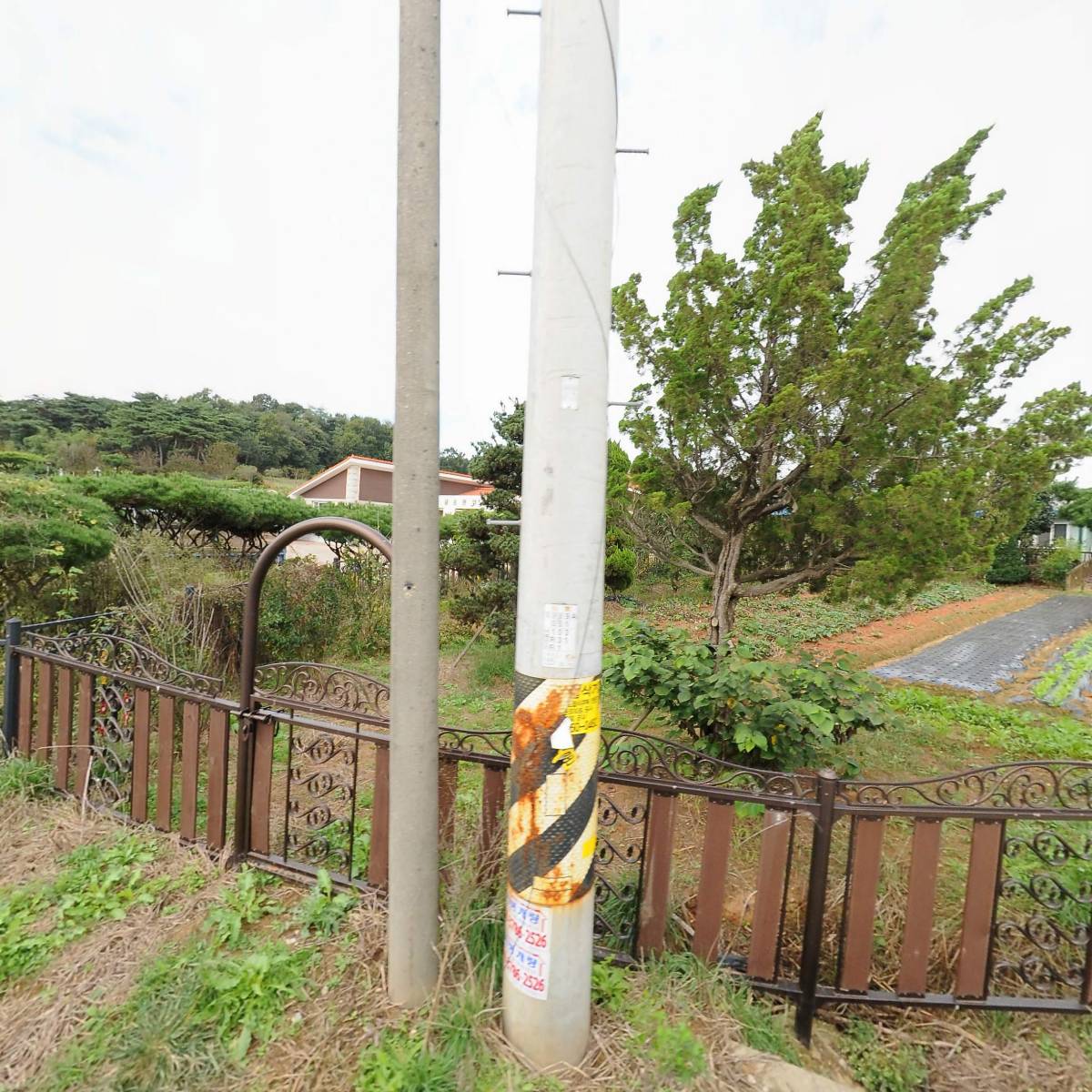 전대초등학교7회동창회