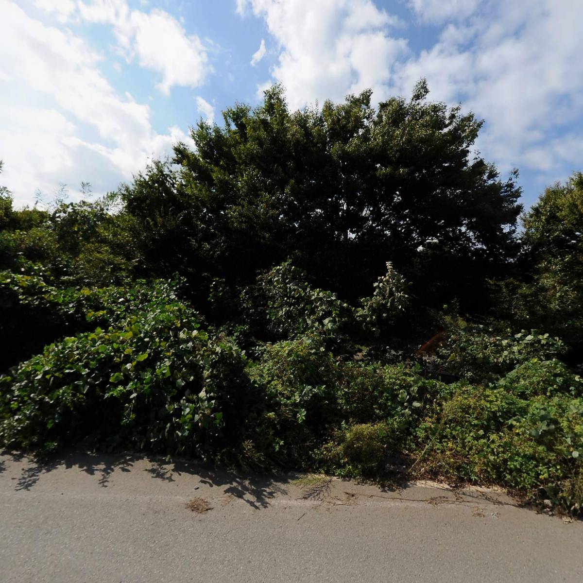 주식회사 제이에스엔지니어링_3