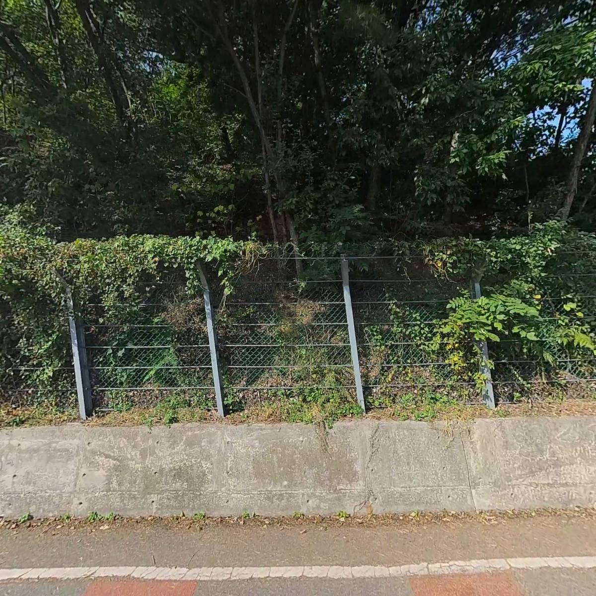 군산나운초등학교_3