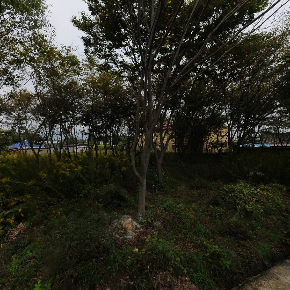 포웰링_3