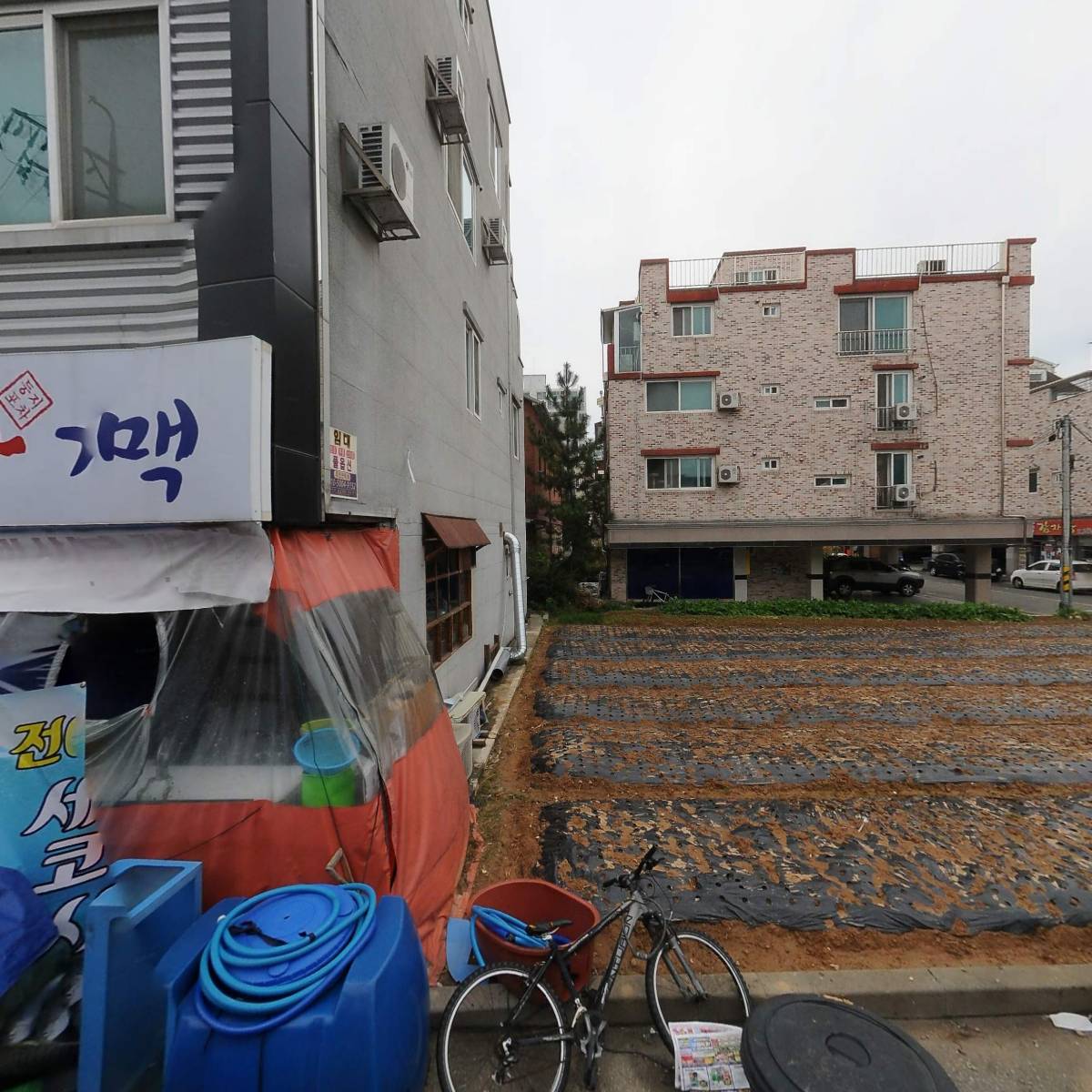 딸기노래주점 임대