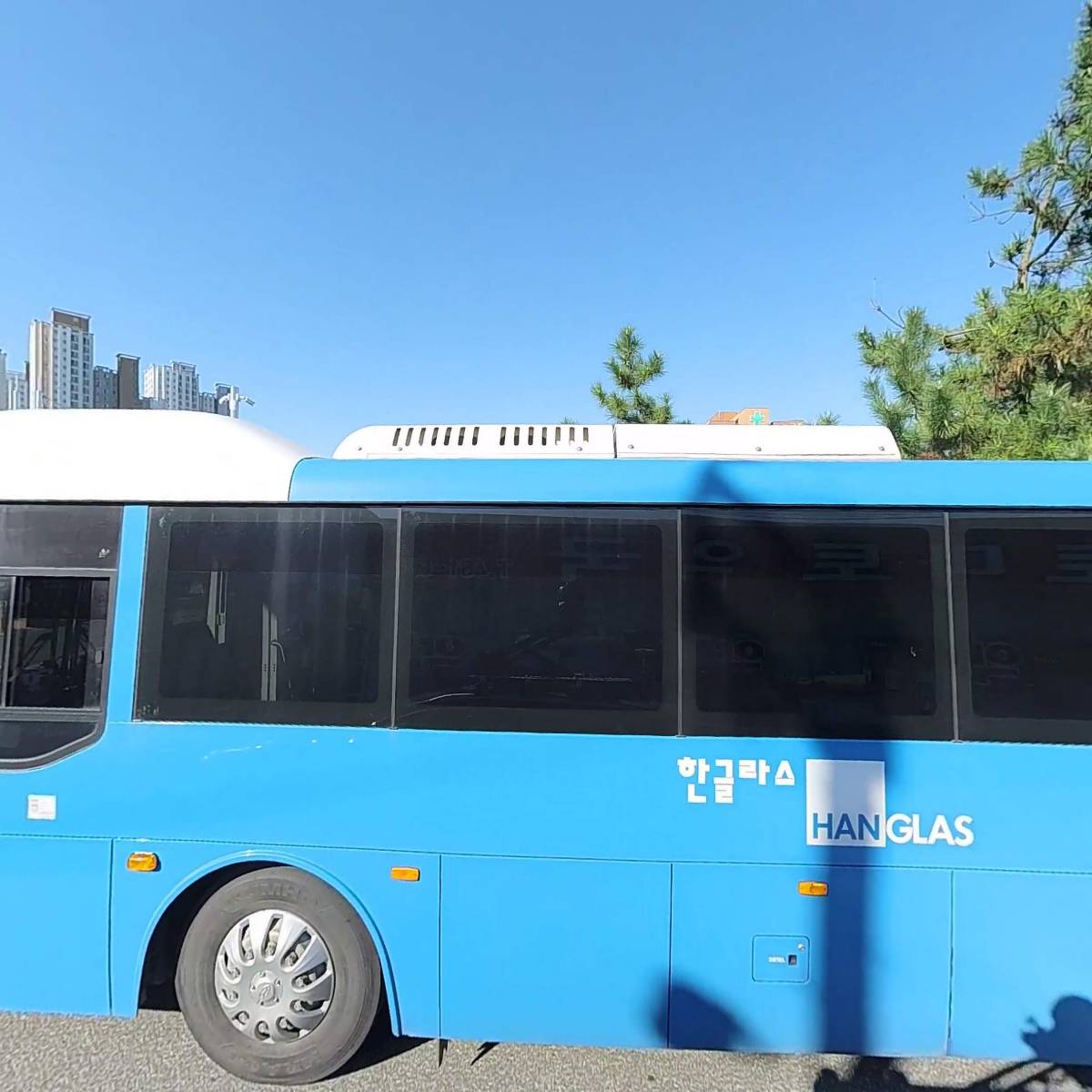 토마토약국