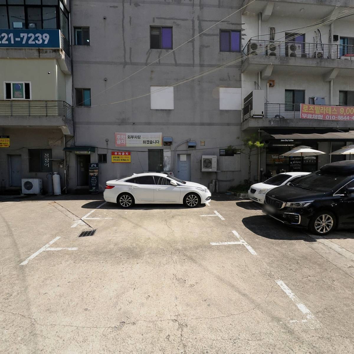 라이온태권도