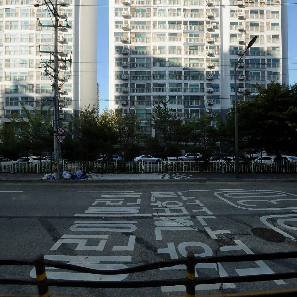 더보우_3
