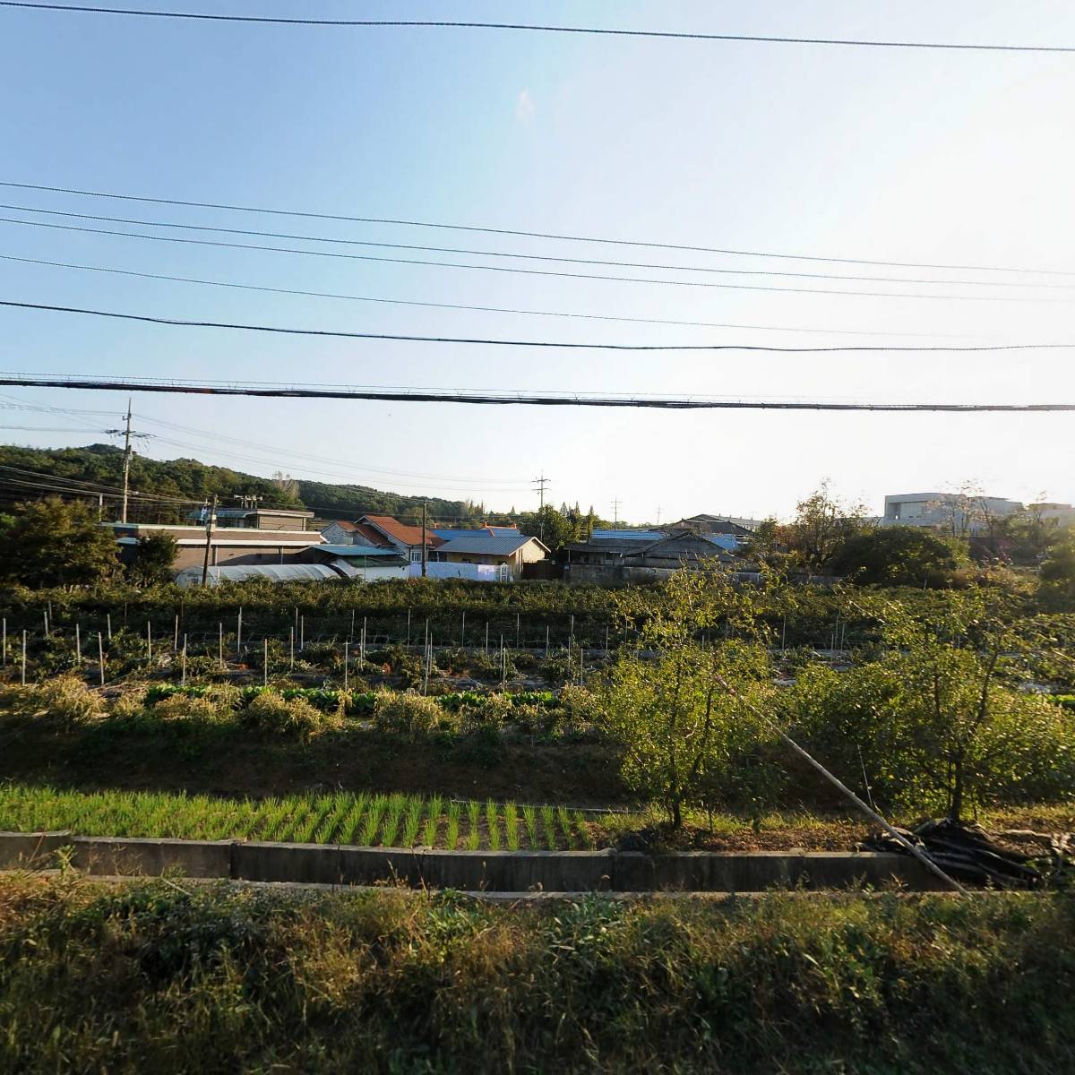 주식회사논산팜