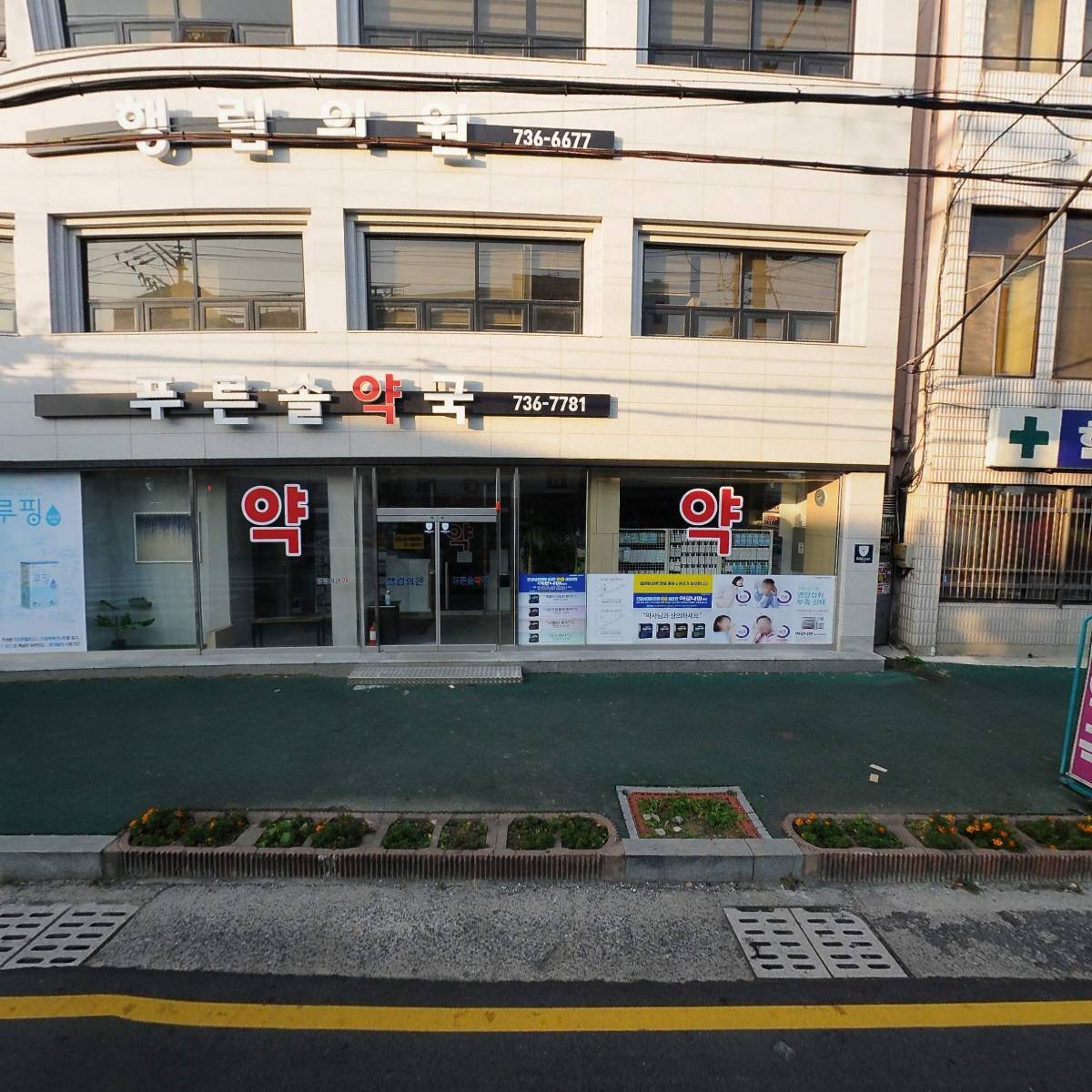 푸른솔 약국