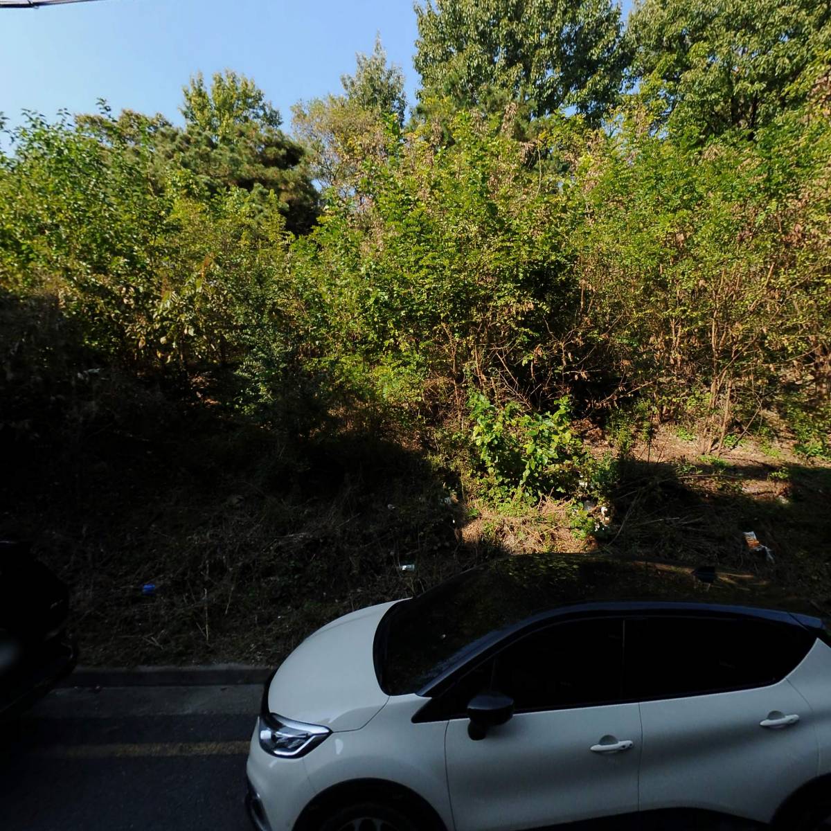 엠지바이오_3