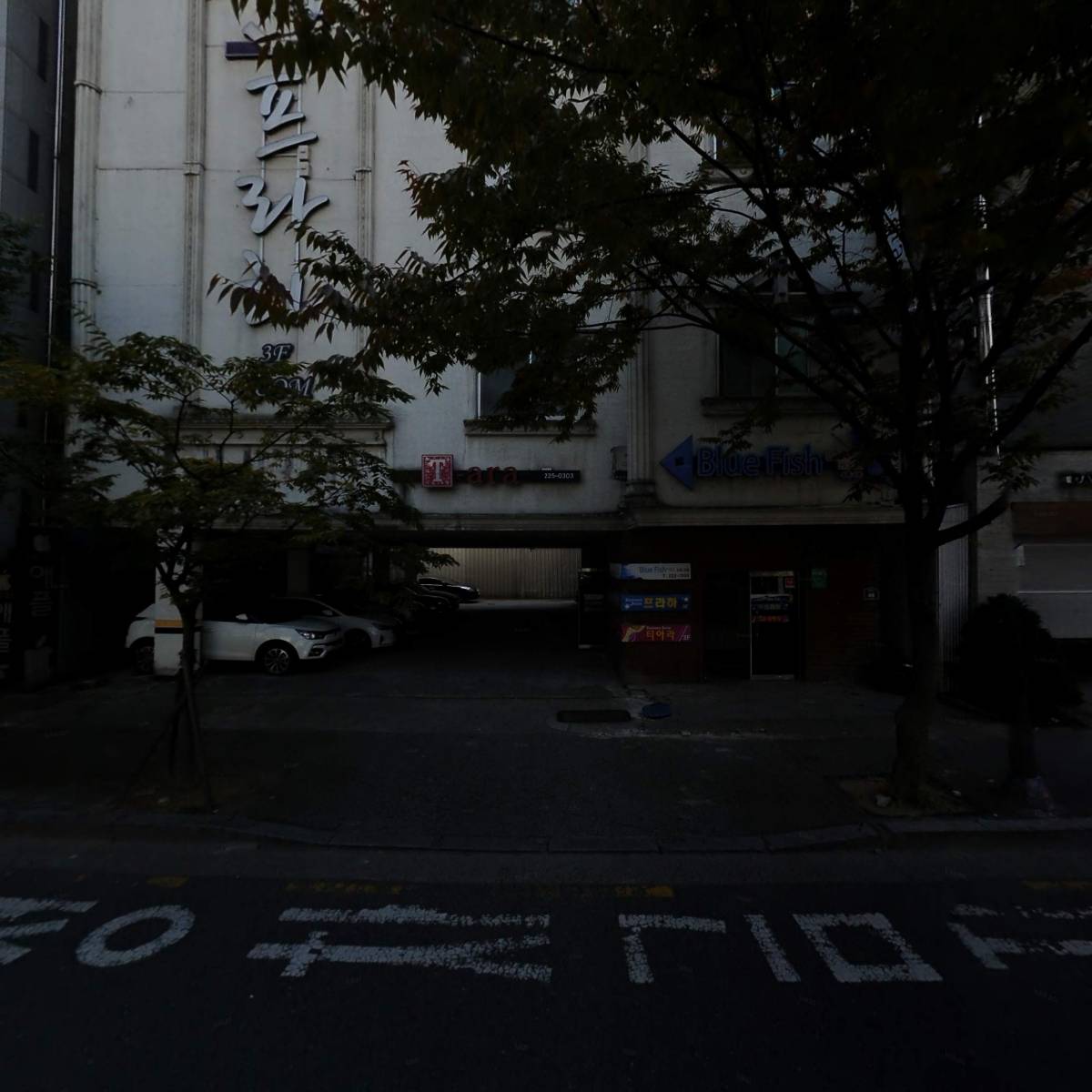블루피쉬_3