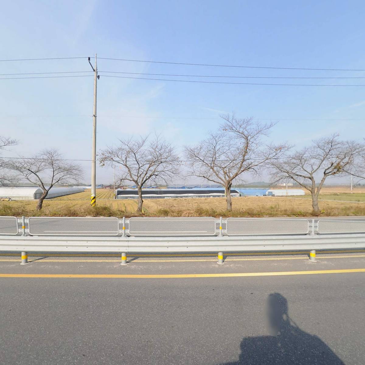 대흥화물_3