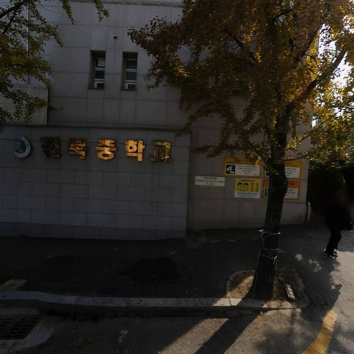 루체