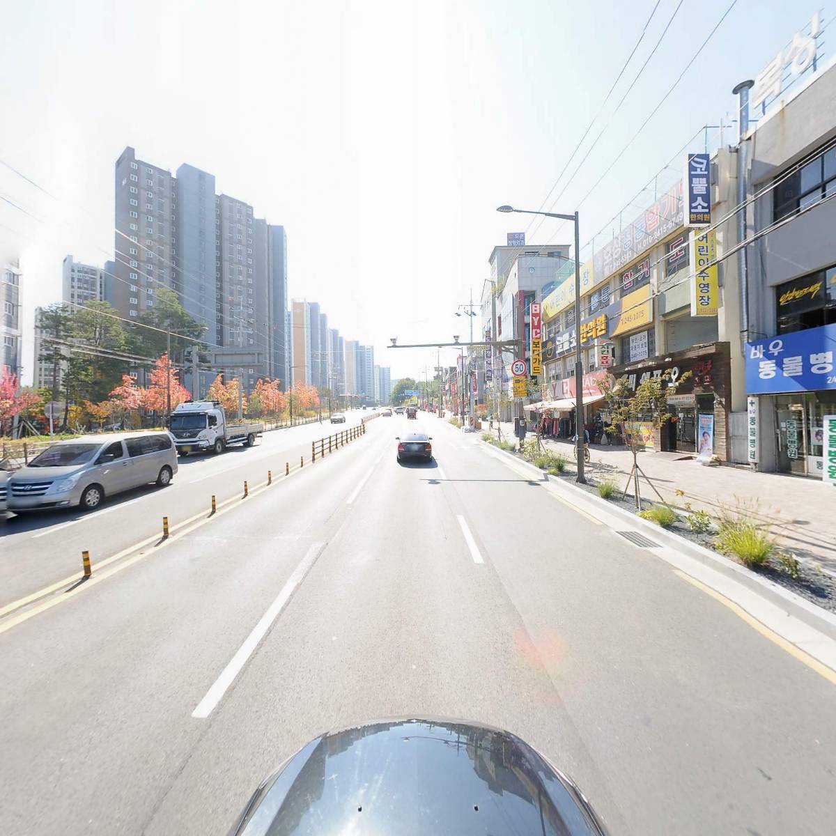 바우동물병원_4