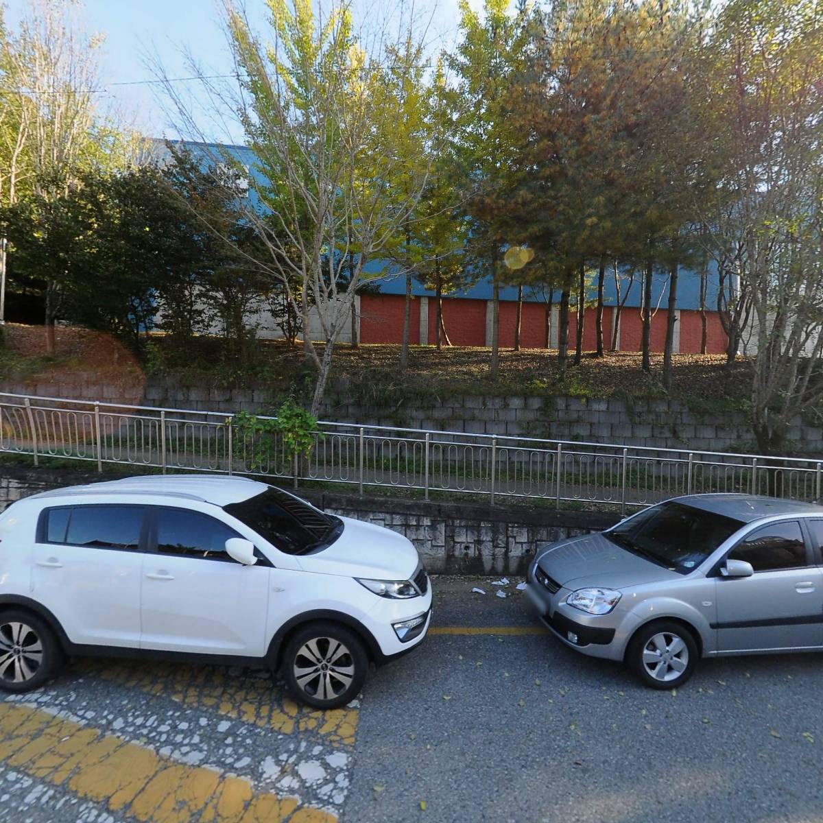 나비한의원_3