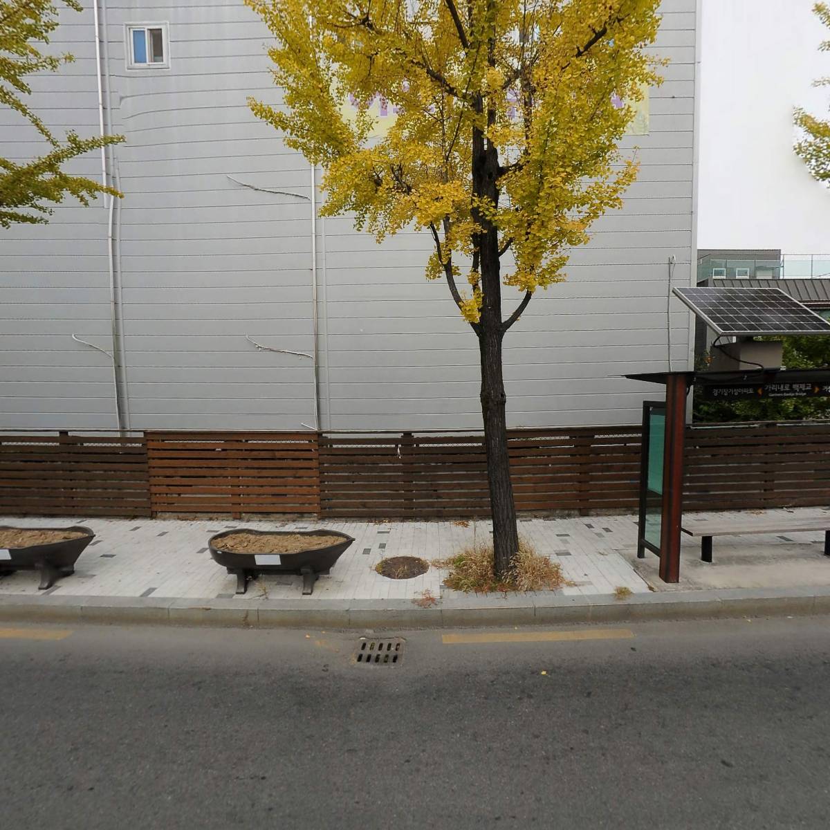 금쪽같은내부모님데이케어