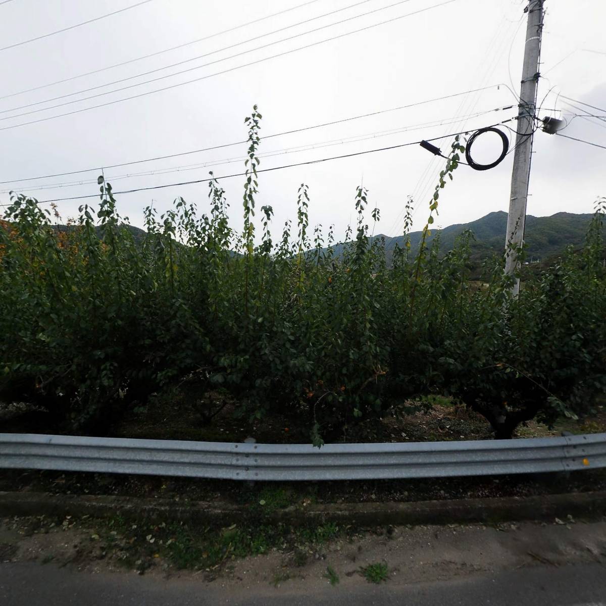 (주)웰빙 전통음식사업단