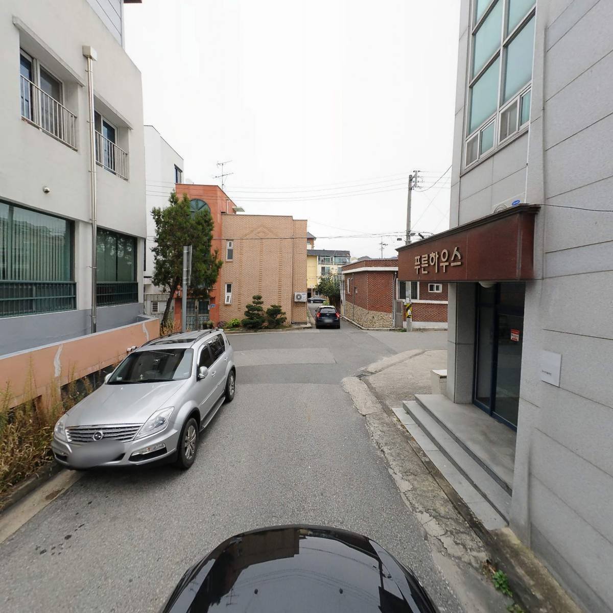 더펫샵_4