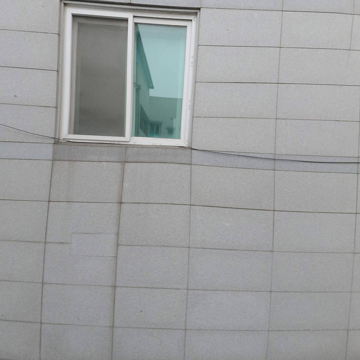 더펫샵