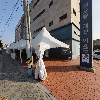 달빛에구운고등어송천점