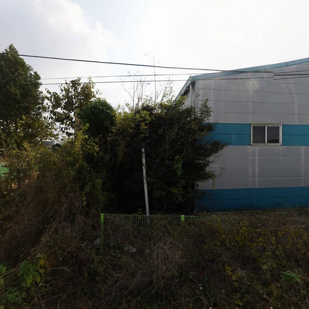 (유)시경_3