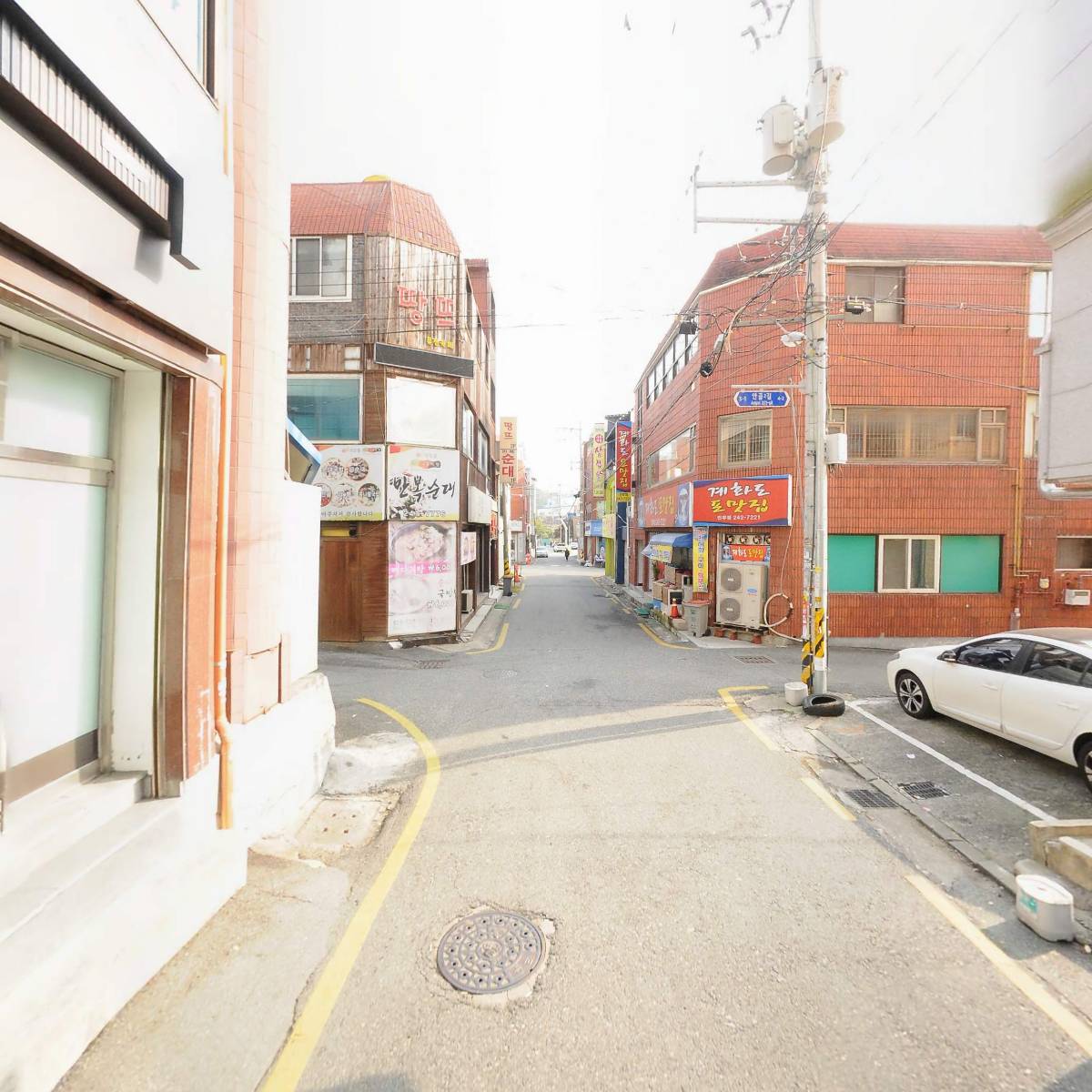 이구아나(29ANA)_2