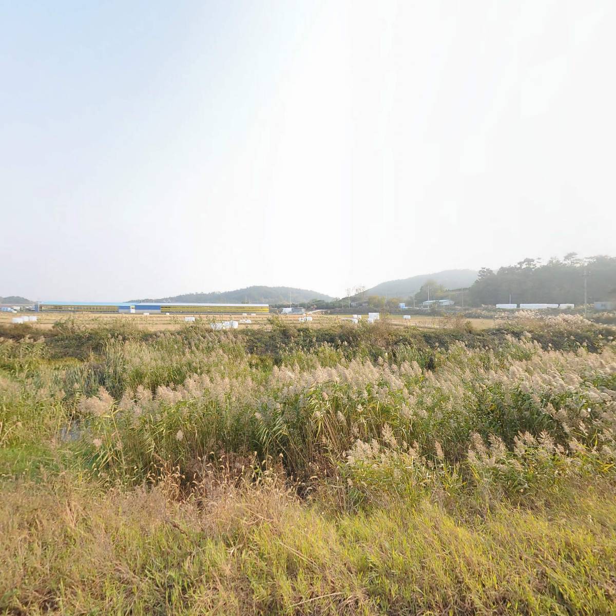 그린수산