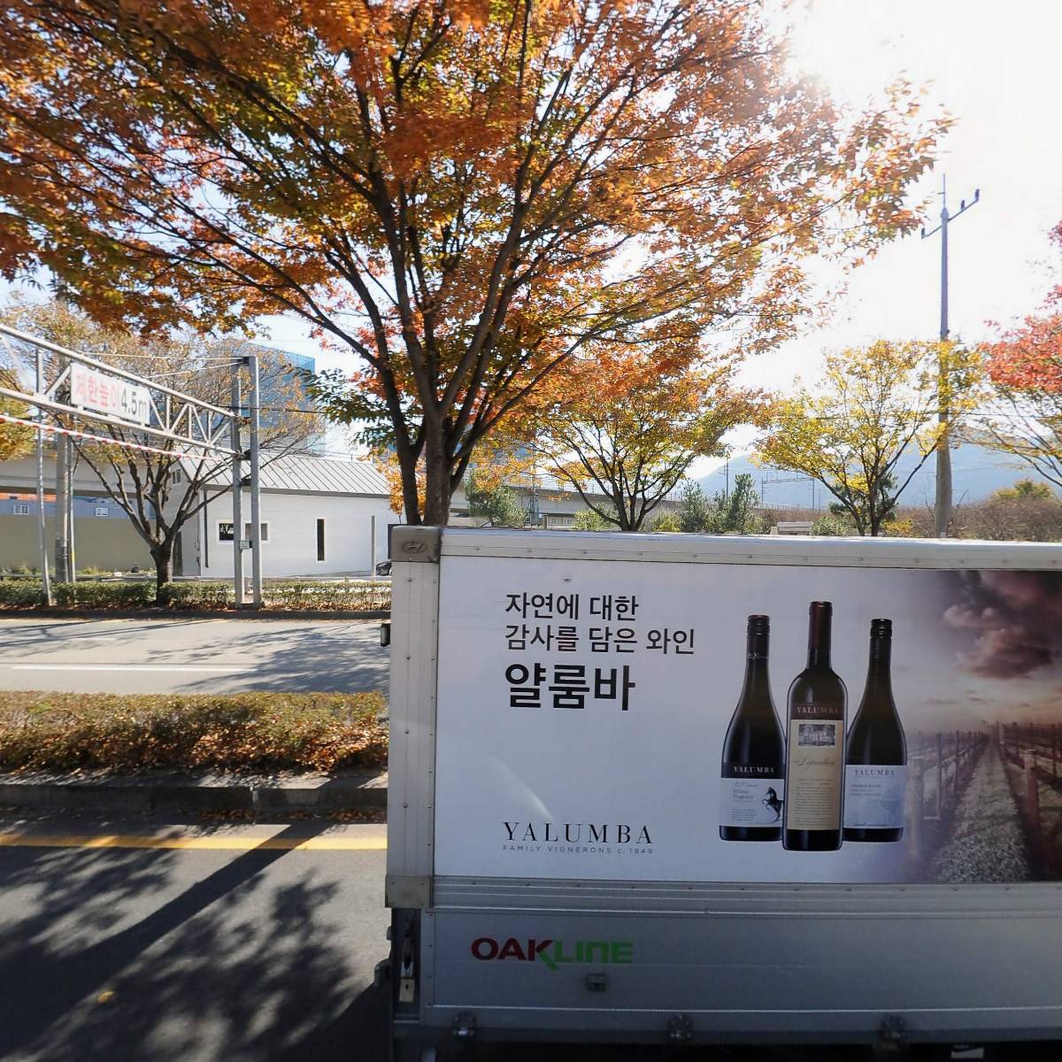 이공일칠_3