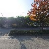 농업회사법인(주)대한임업경영_3