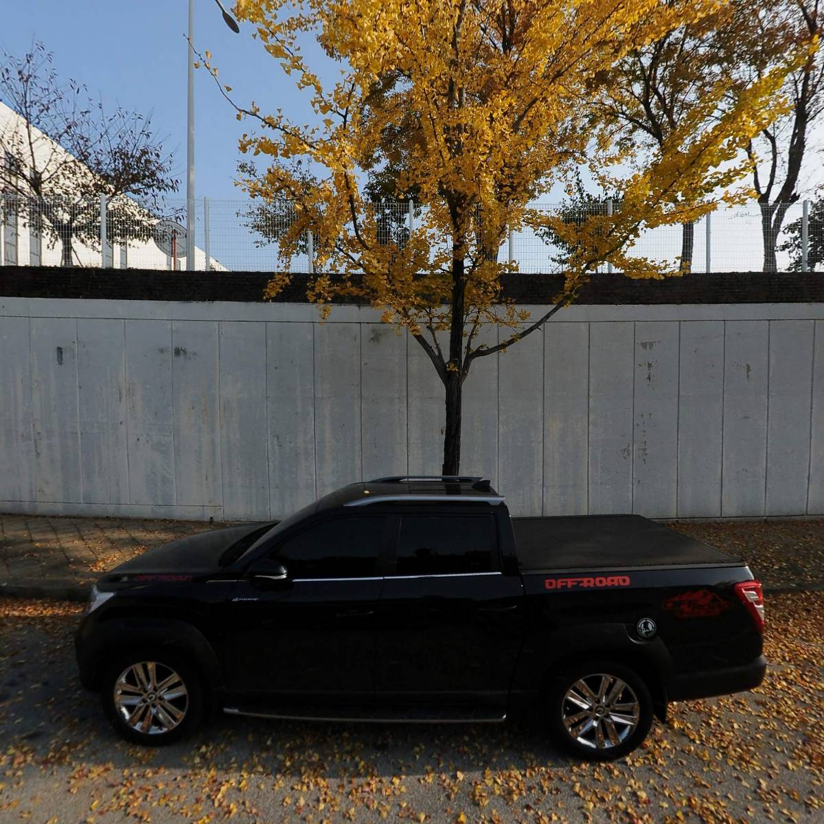 (주)에이피