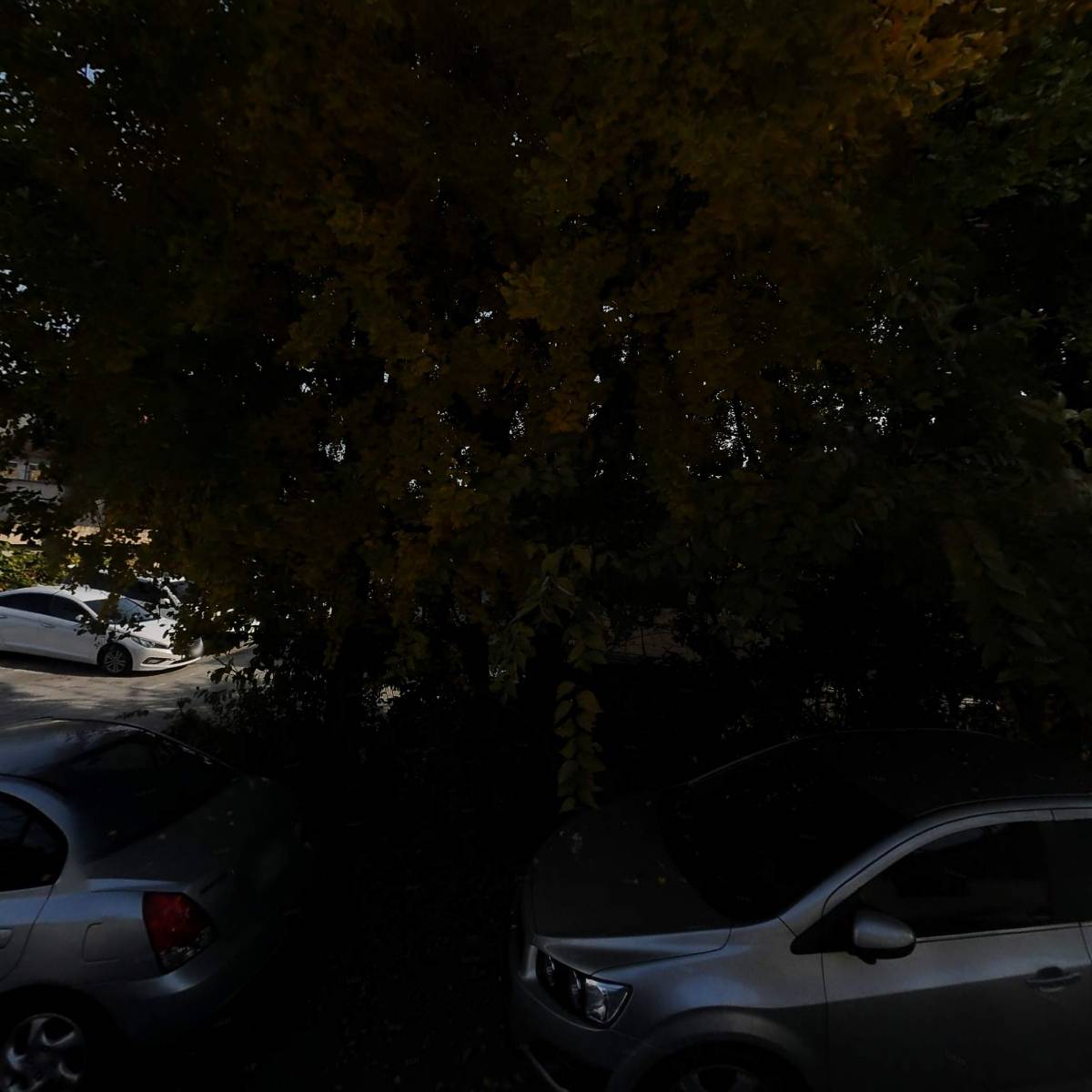 익산브레이슬릿