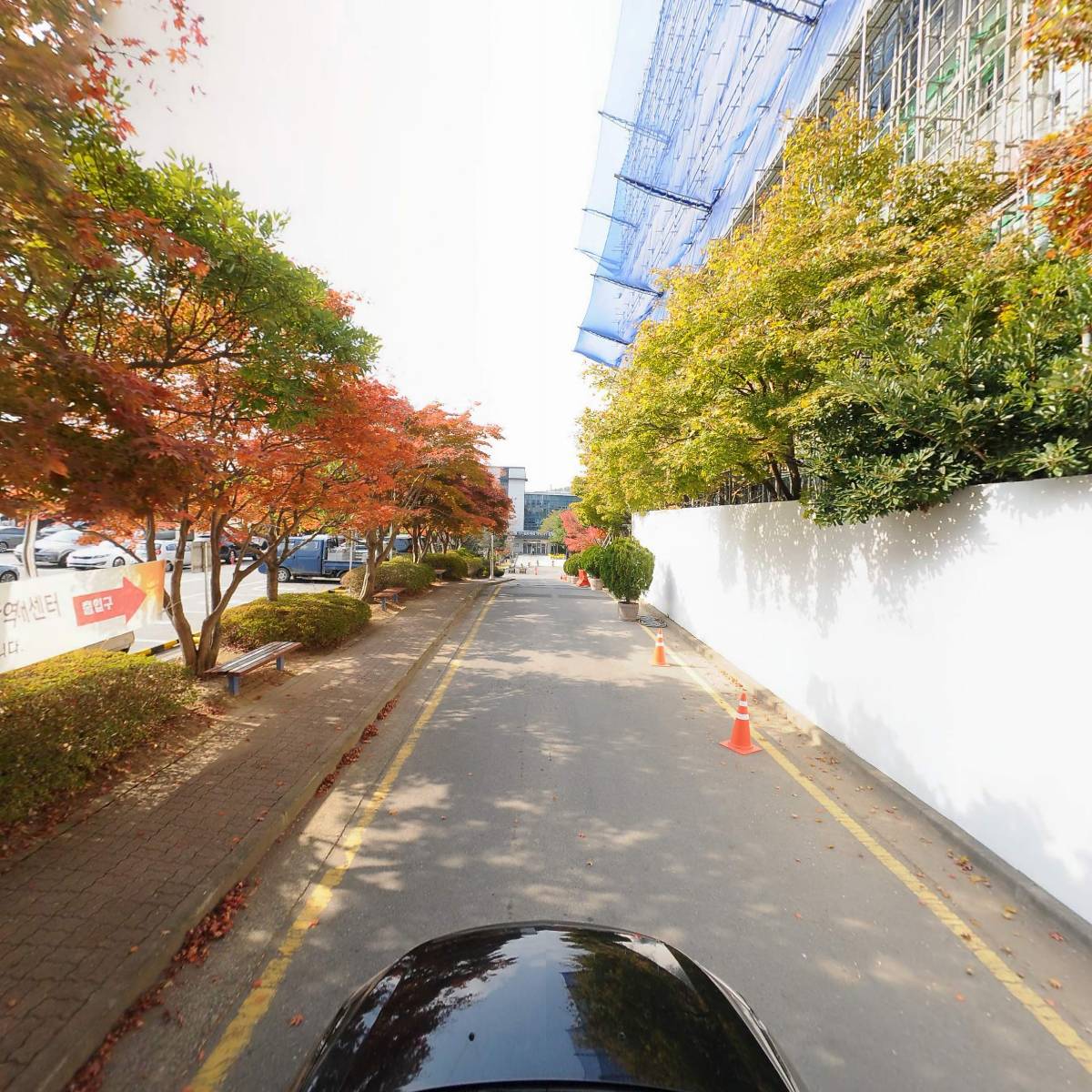 전라남도광역치매센터_4