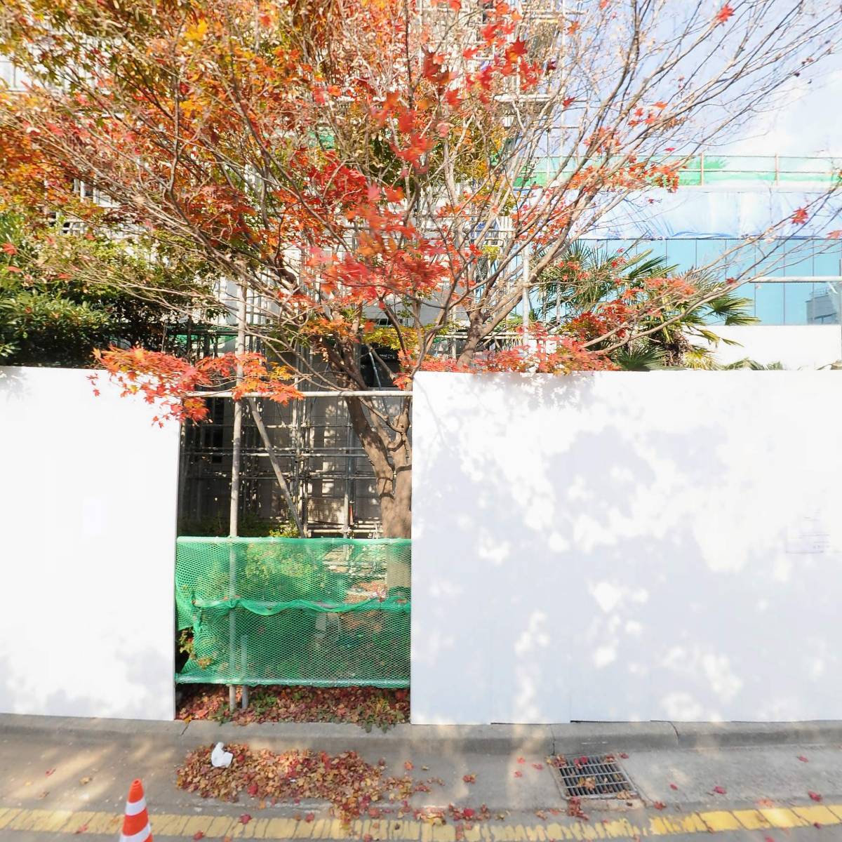 전라남도광역치매센터