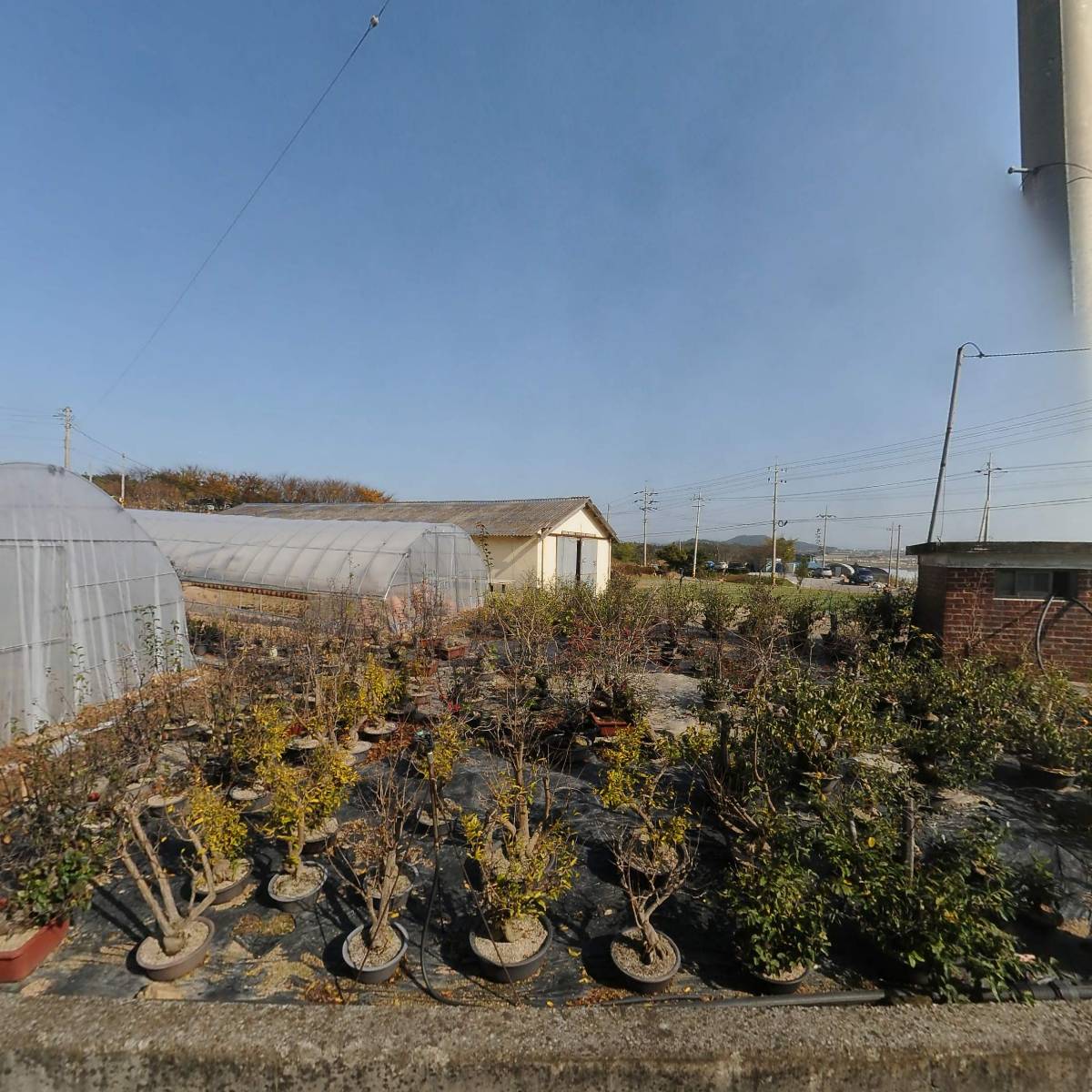 우리농산물살리기