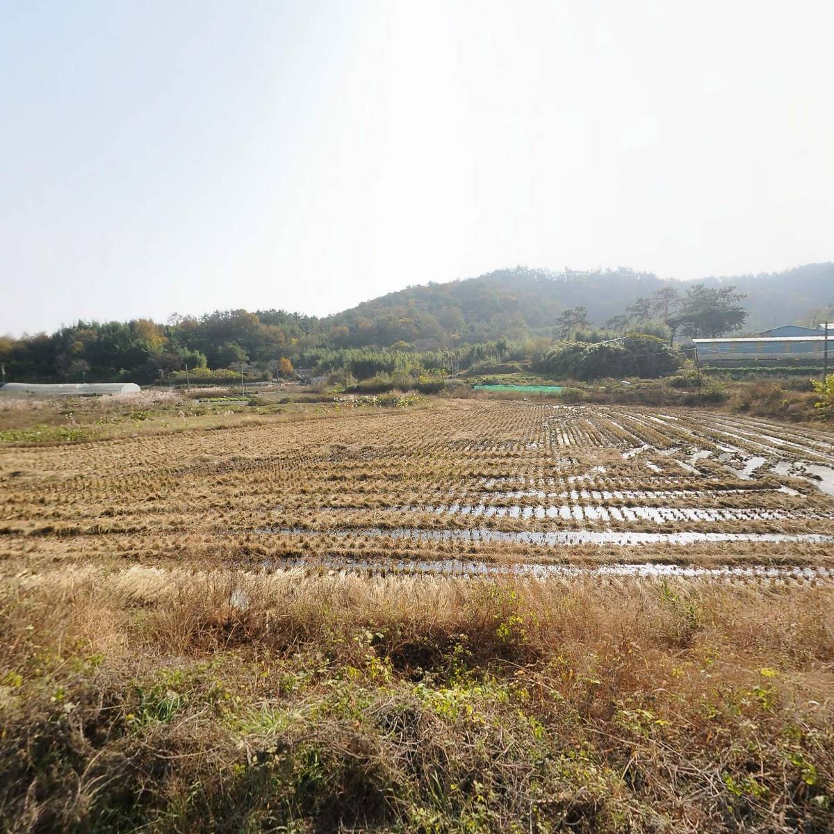 남도푸드영농조합법인_3