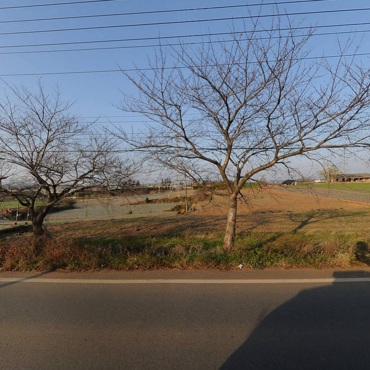 농업회사법인 주식회사 서당골 전통식품_3