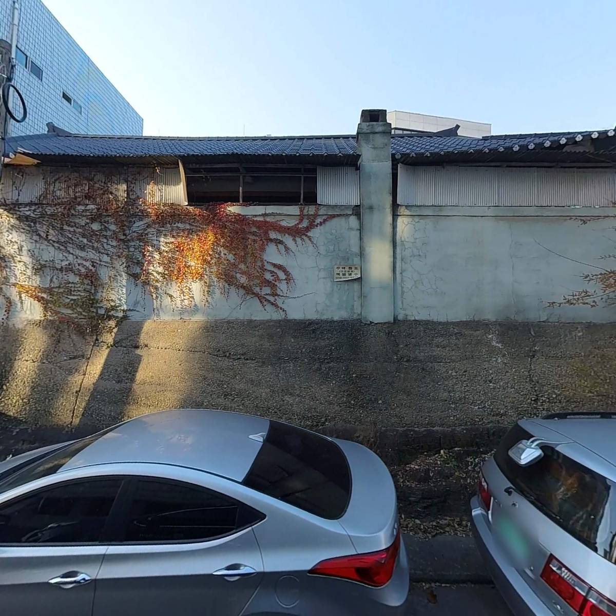 와촌손칼국시