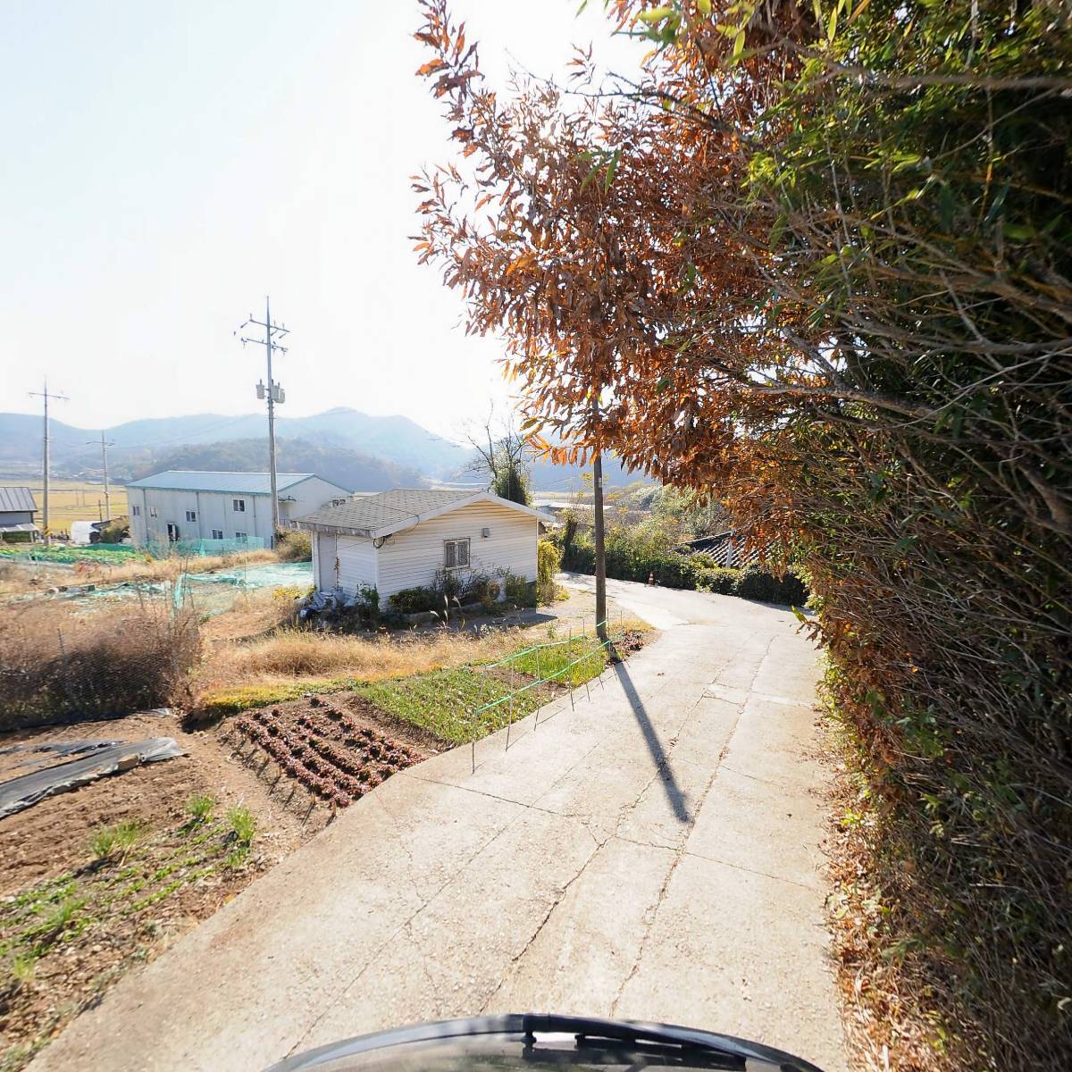 순천만자연농원_2