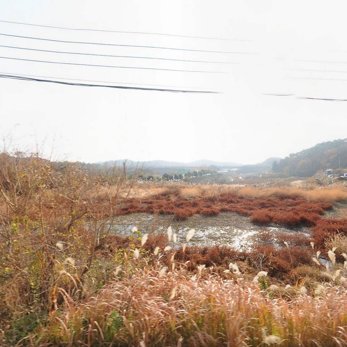 (주)신대디자인_3