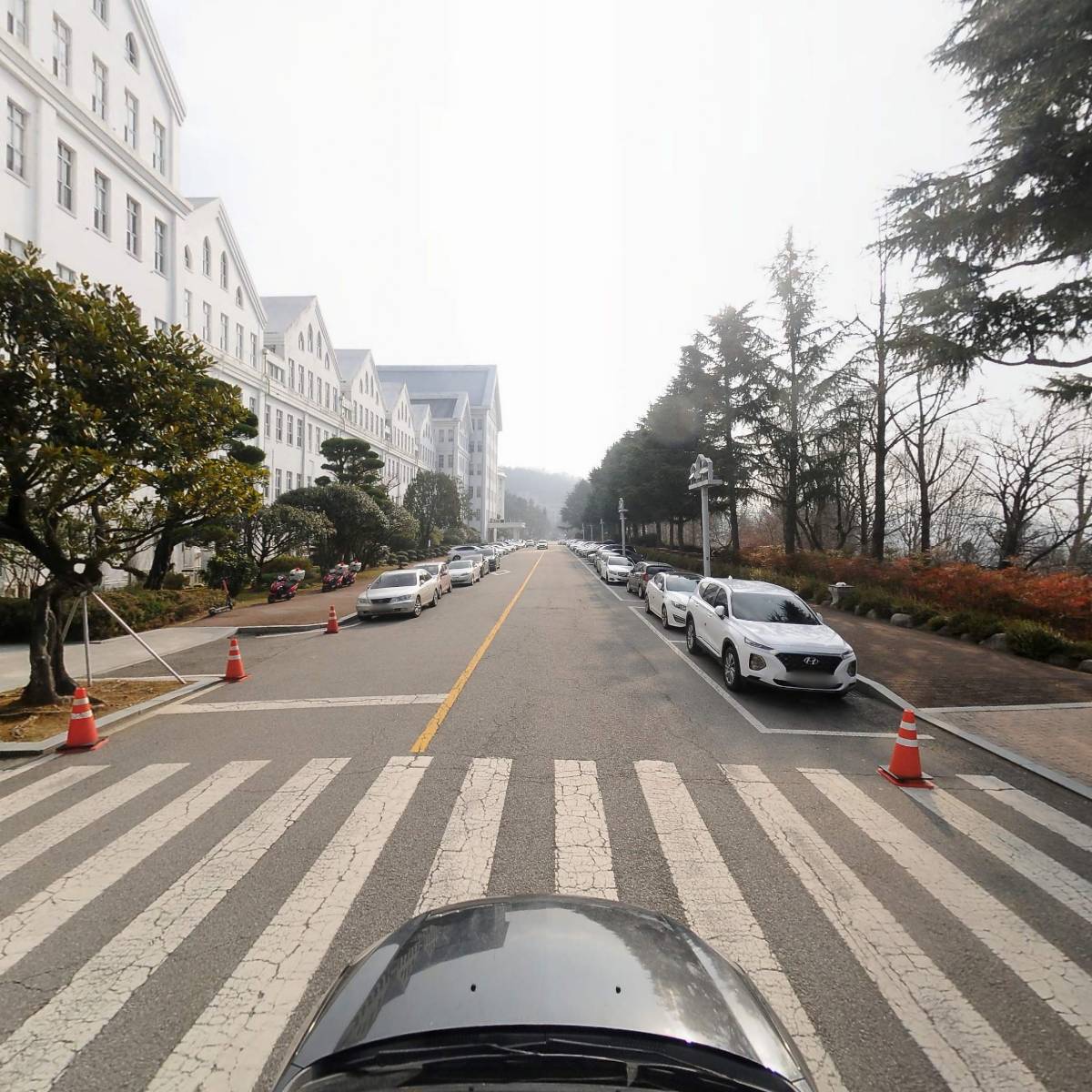 한국비정규교수노동조합 조선대학교분회_4