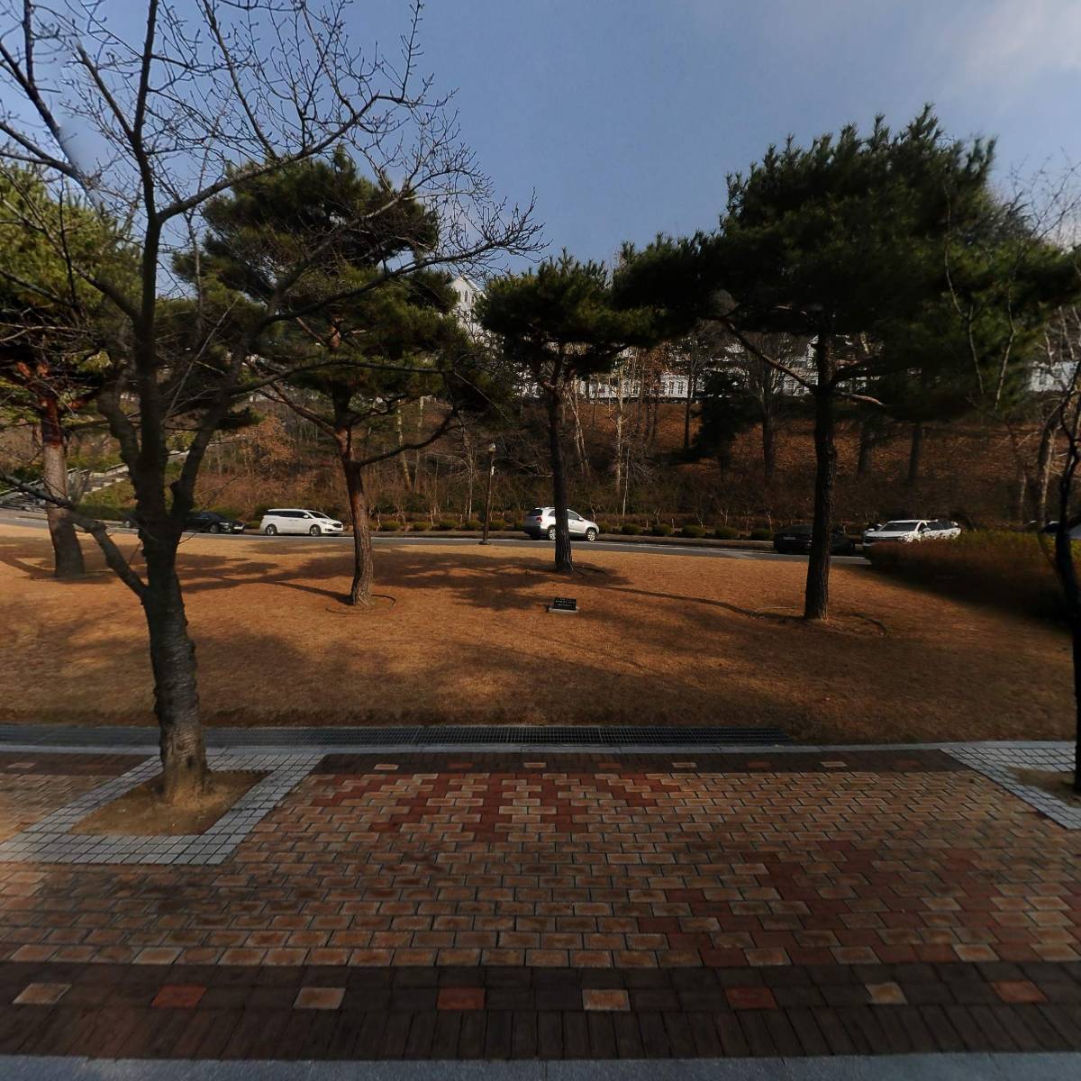 카페아이앤지 조선대 솔마루점