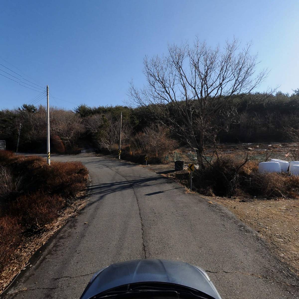 네추럴컬처_4