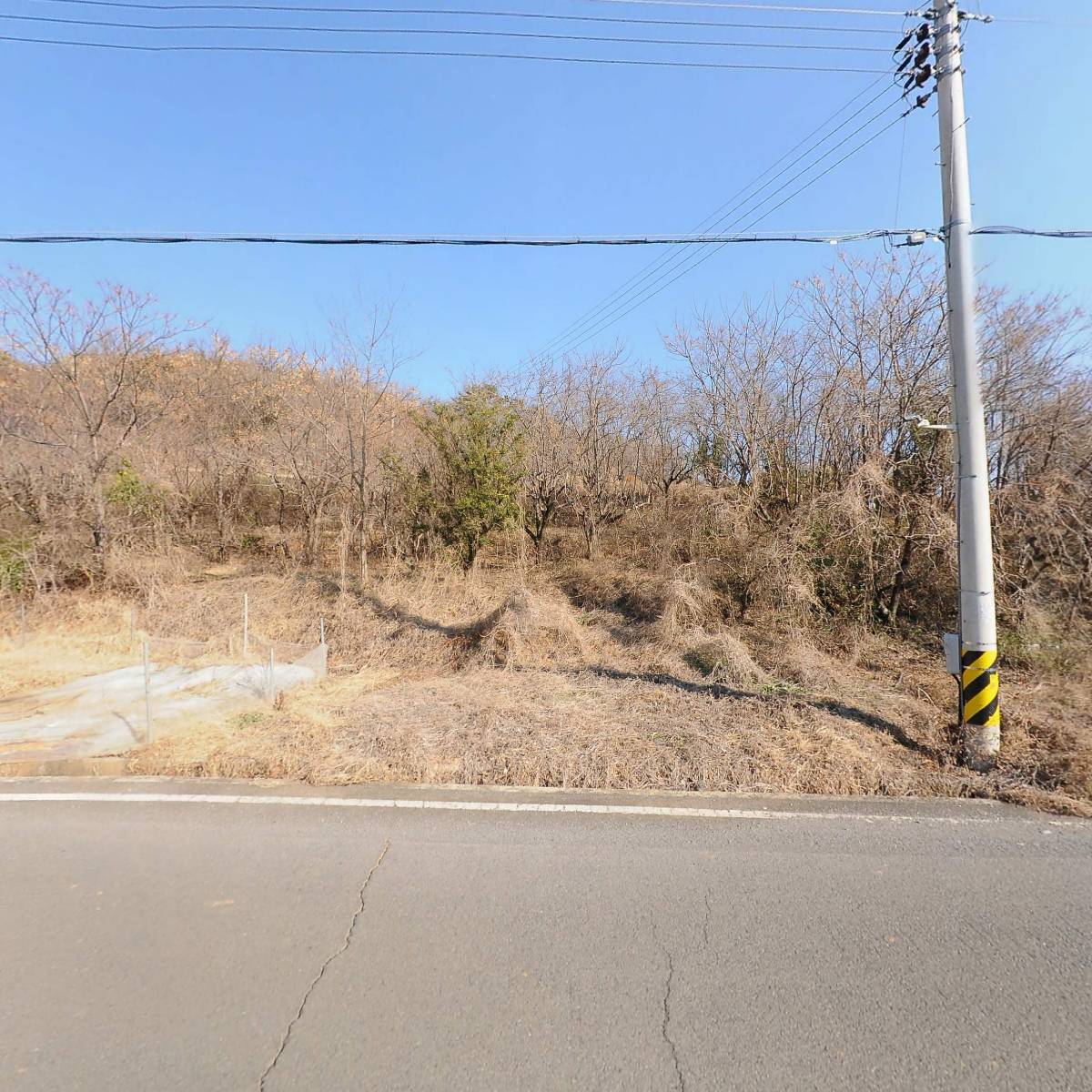 주식회사 티아이지푸드_3