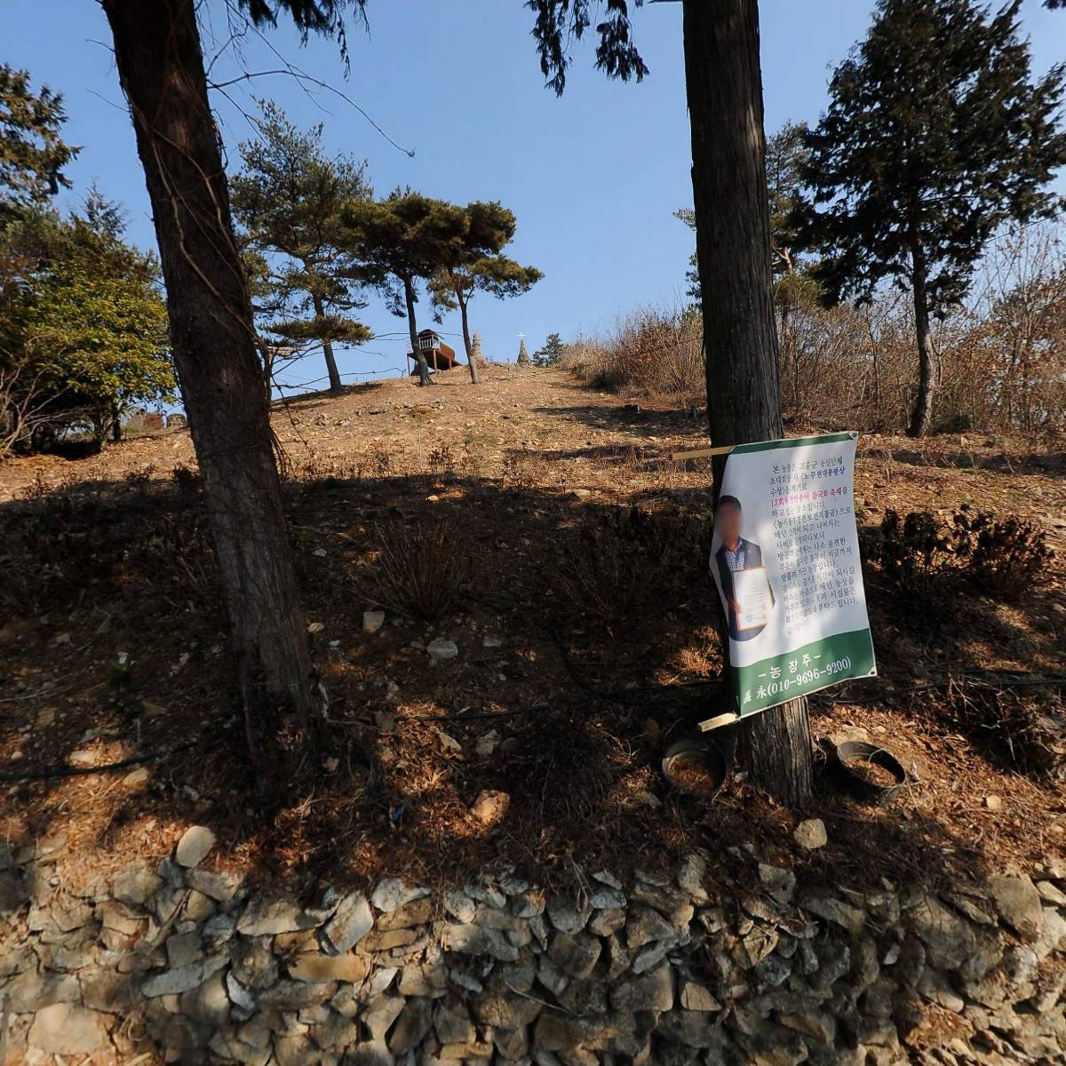코카콜라고흥대리점