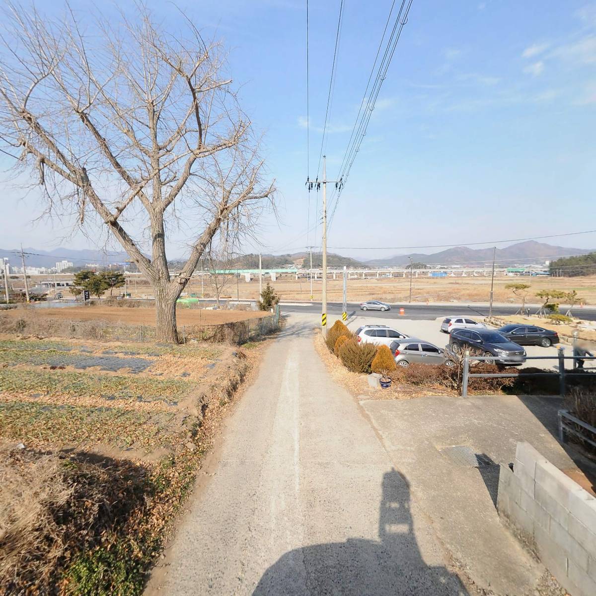 오리앤오리_2