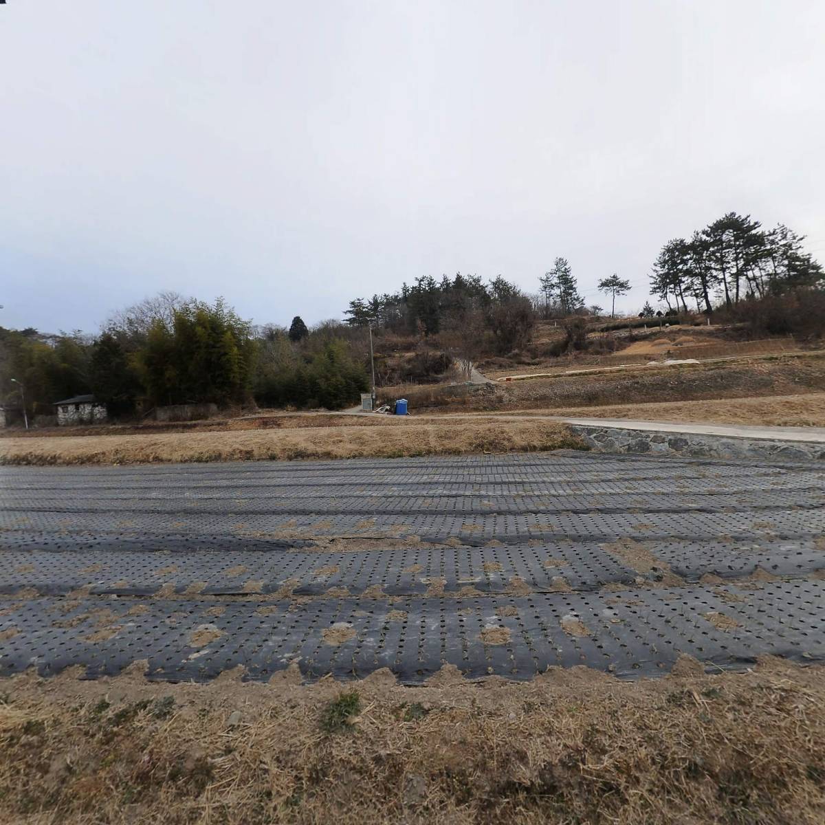 장흥개별화물_3