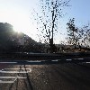 성상자연농원_3