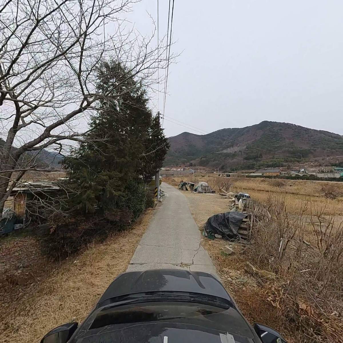 뿔다구생고기식육_4