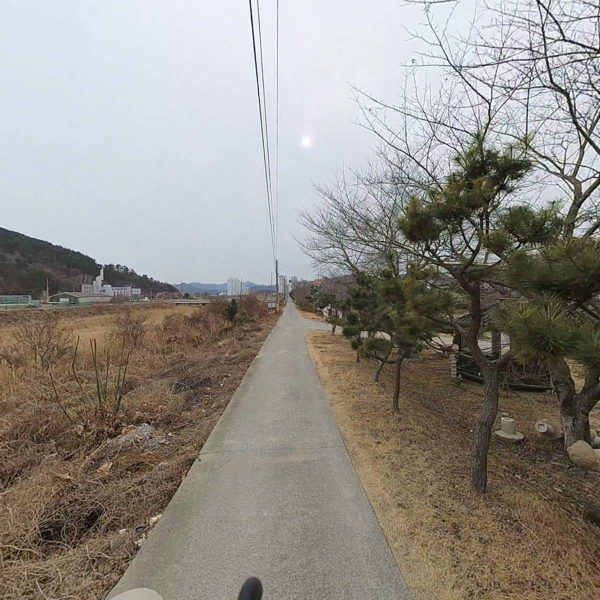 뿔다구생고기식육_2